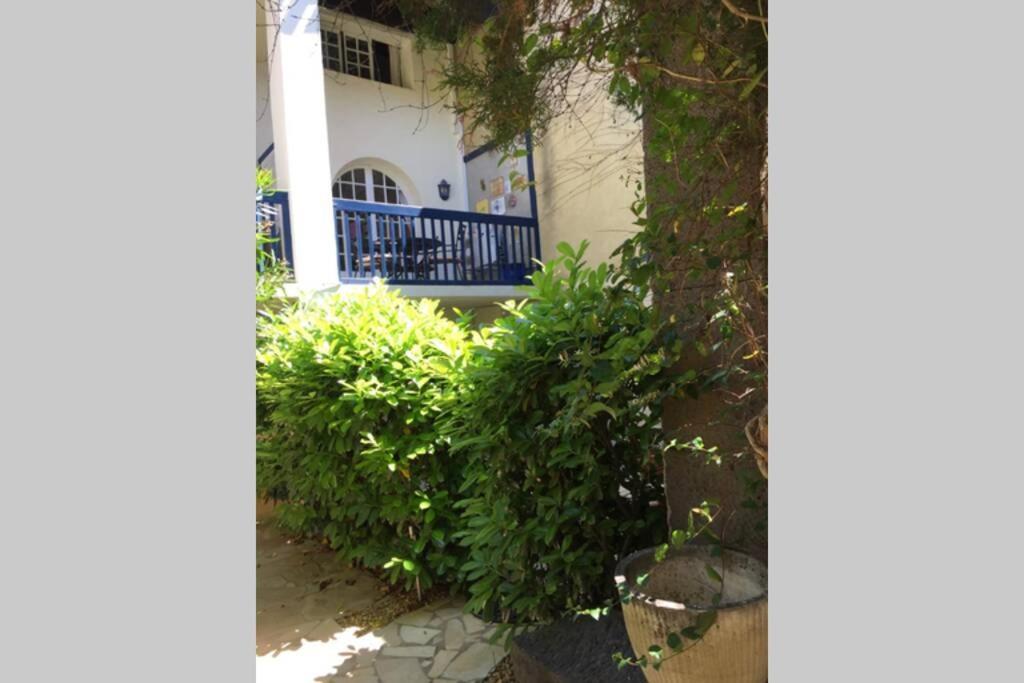 Appartement Cosy Dans Residence Sur Le Port De Marseillan 马瑟伊兰 外观 照片